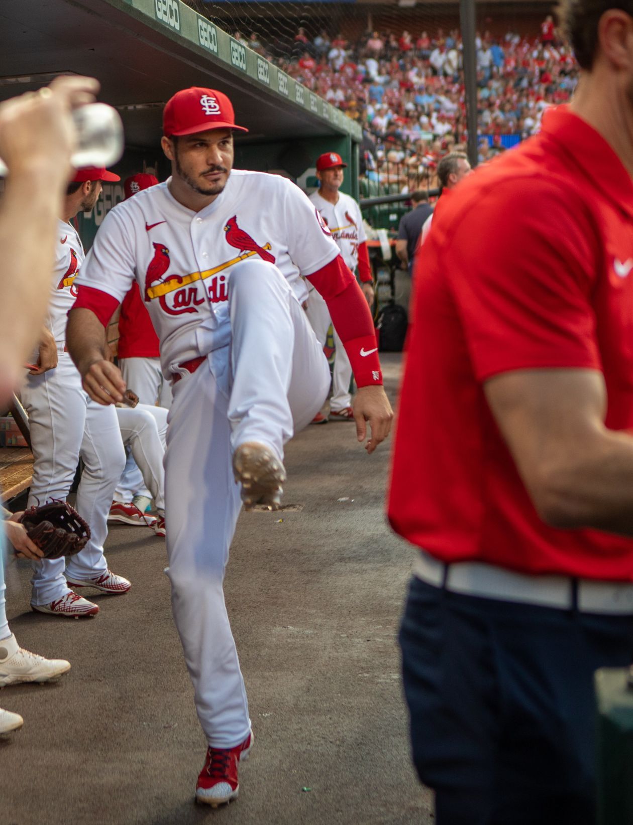 Cardinals look for win against Giants